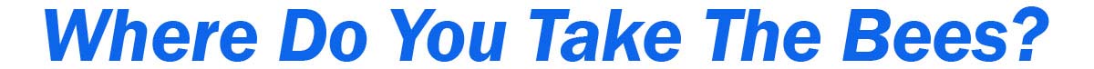 Teddys Bee Removal company logo with text showing our bee removal farm and employees.