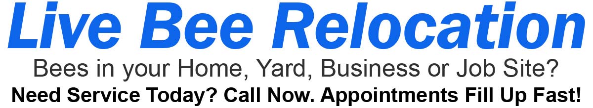 H1 Live Bee Relocation. Bees in your home, yard, business or job site? Need service today? Call now. Appointments fill up fast!